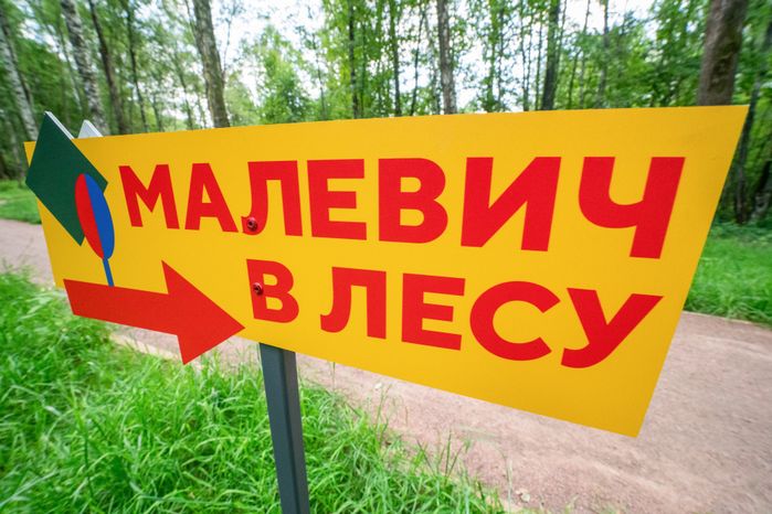 Летний парк Малевича 2024 в Одинцовском округе