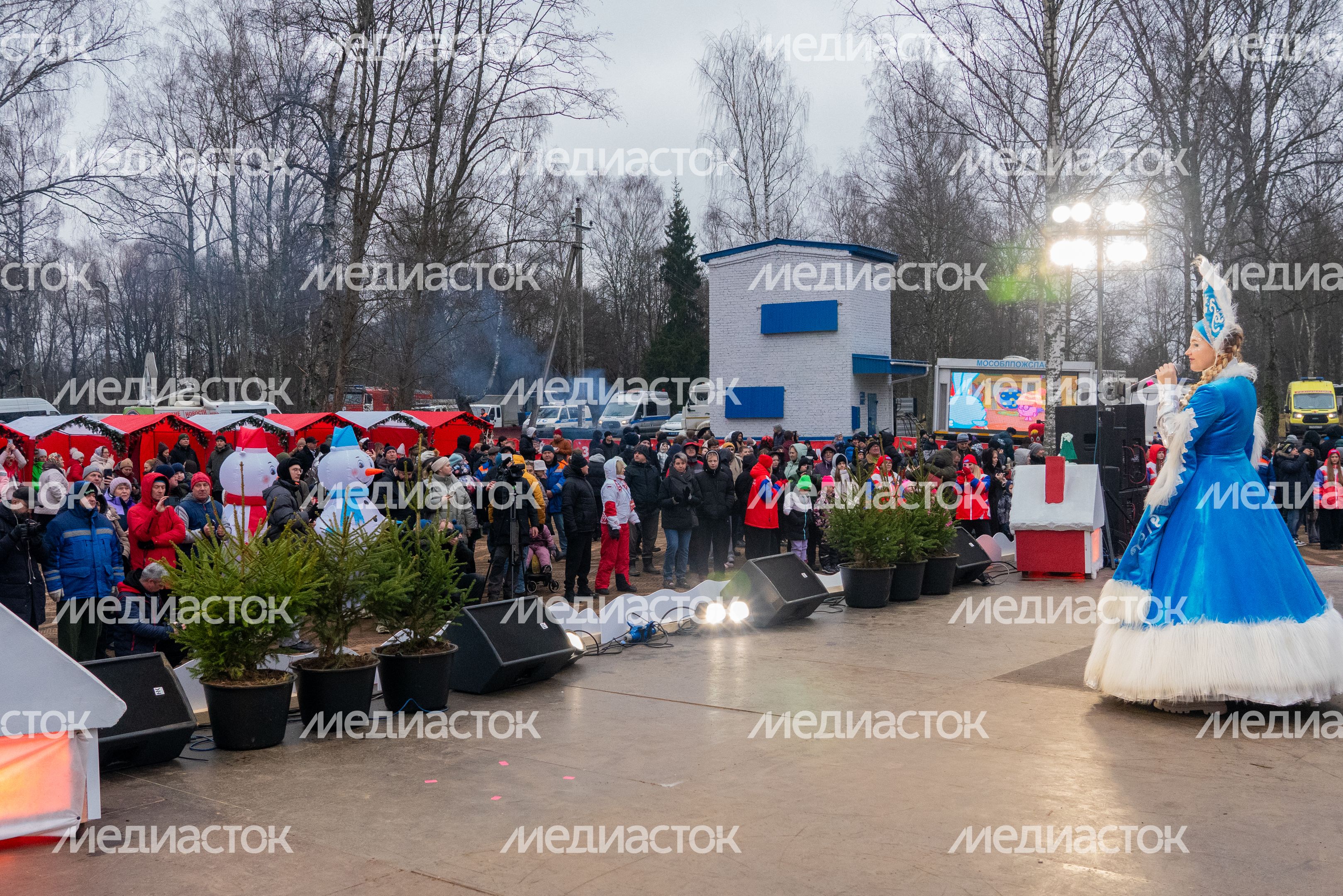 Главную новогоднюю елку страны спилили в Рузском округе Главную новогоднюю елку страны спилили в Рузском округе