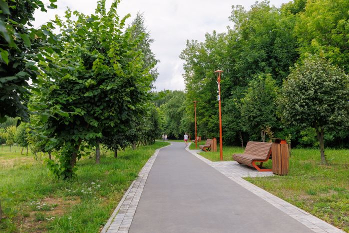 Парк "Липовая аллея" в Электроуглях