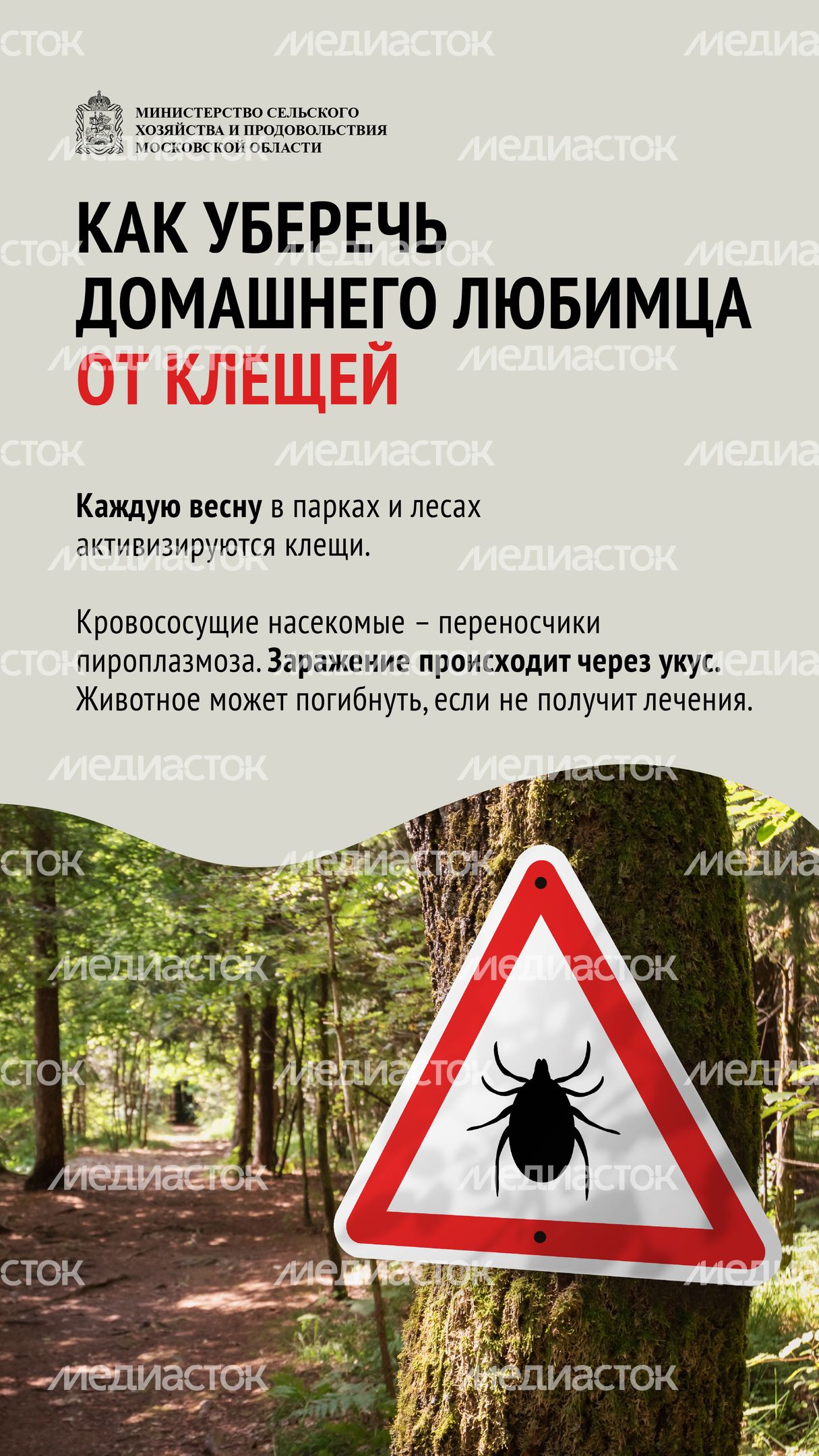 Клещи-01.jpg