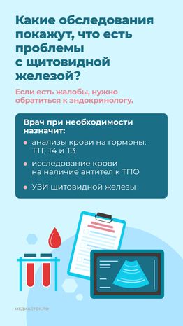 щитовидная железа семь вопросов Вертикаль 08