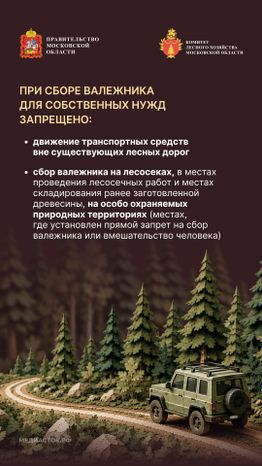 Валежник для собственных нужд вертикаль 07