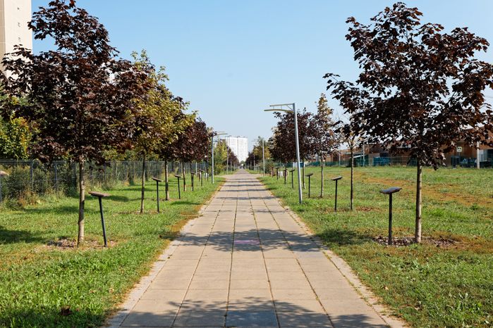 Аллея Славы в Подольске