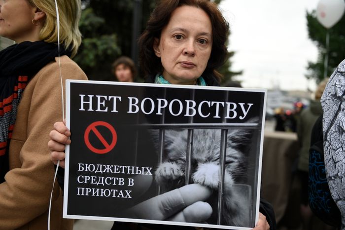 Митинг в защиту животных из приютов в Москве