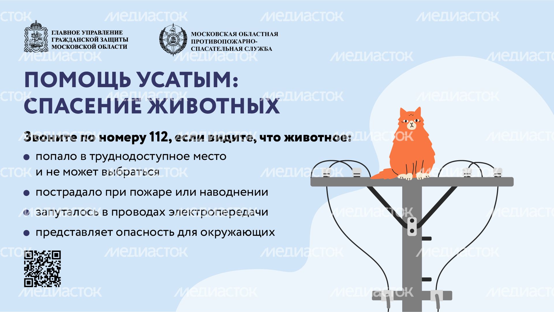 помощь усатым - горизонталь - 01