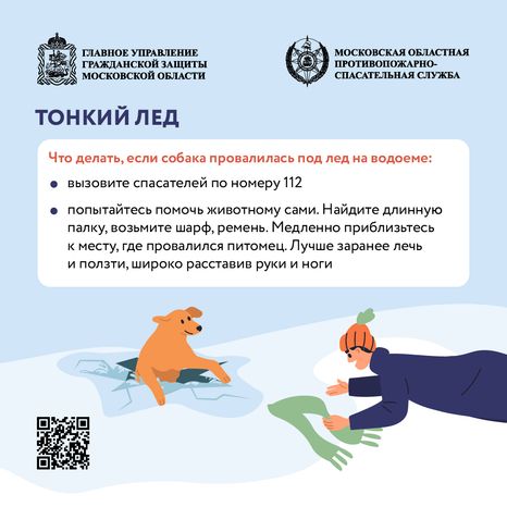Помощь усатым - квадрат-05