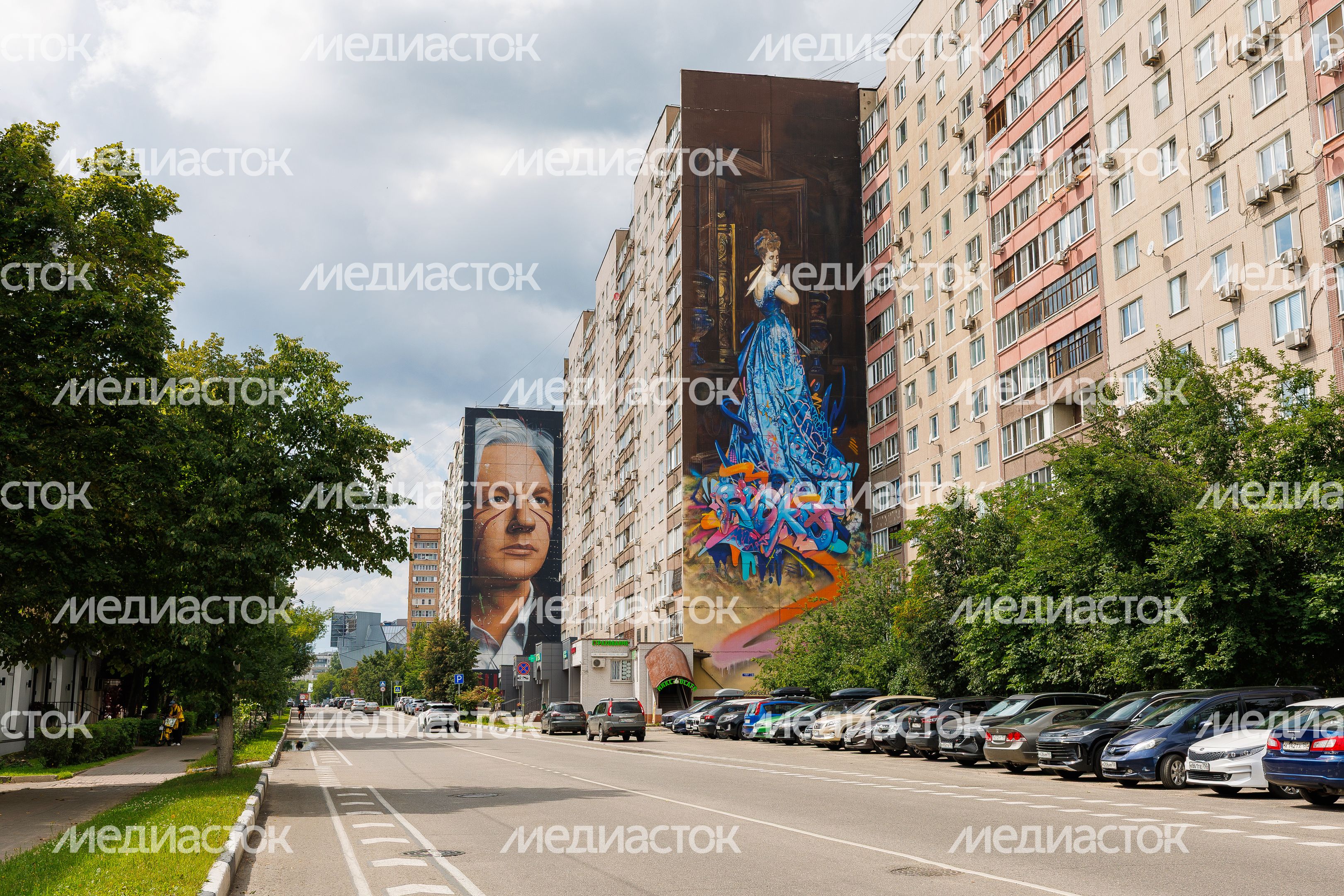 Муралы в Железнодорожном, Балашиха