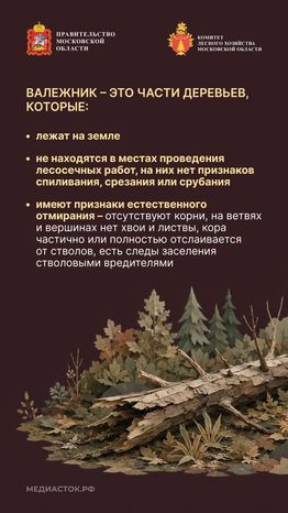 Недревесные ресурсы для собственных нужд Вертикаль 04