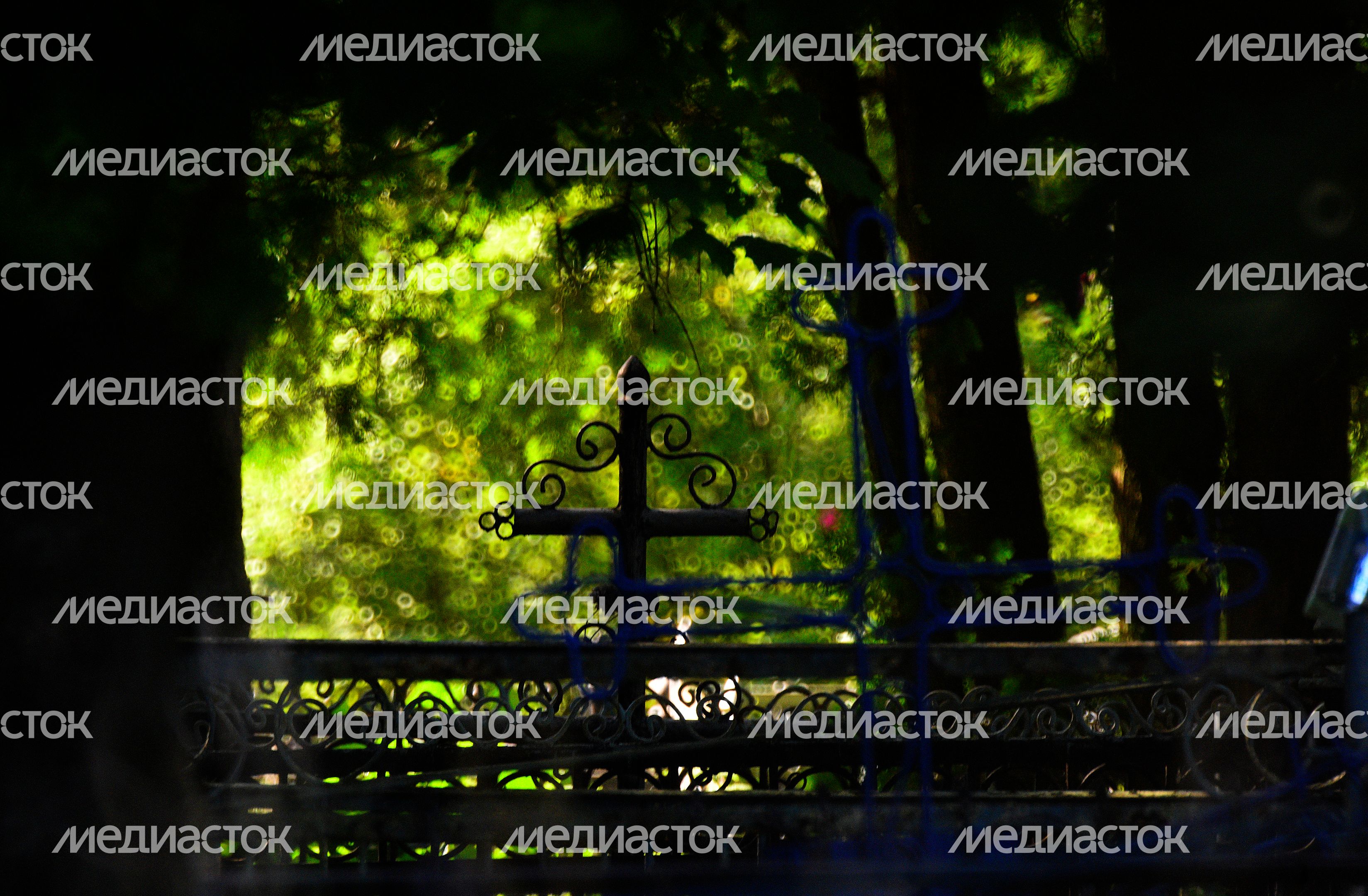 Кладбище в деревне Поповка Троицкого административного округа