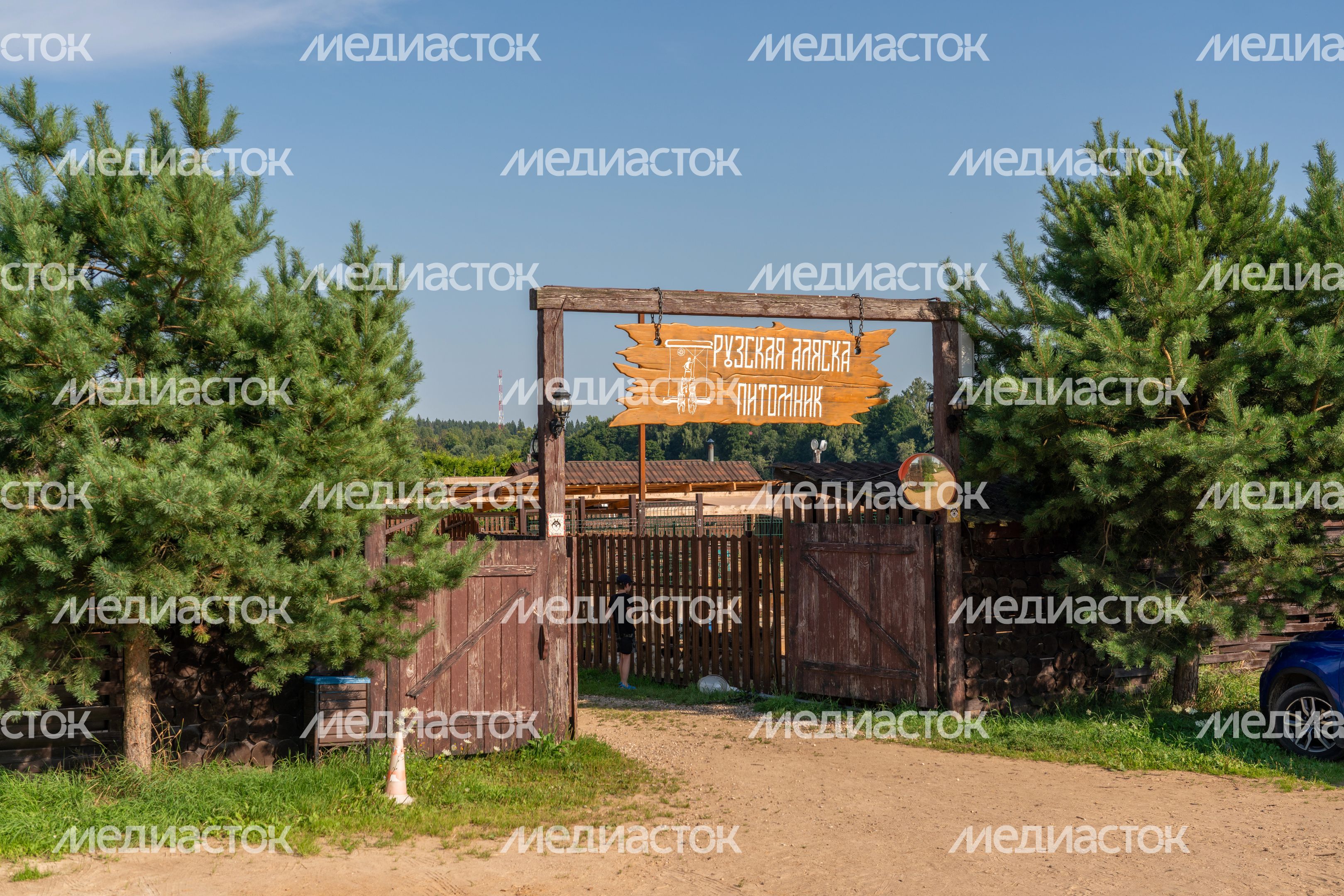 Хаски-деревня "Рузская Аляска". Лето
