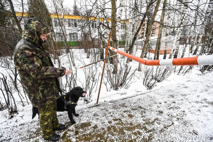 Школа собак‑проводников в Подмосковье