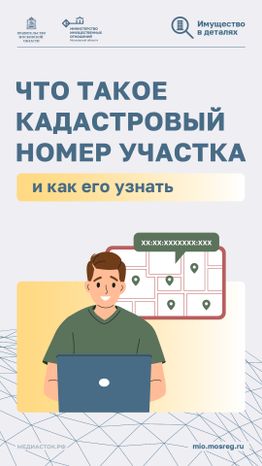 Что такое кадастровый номер участка вертикаль 01