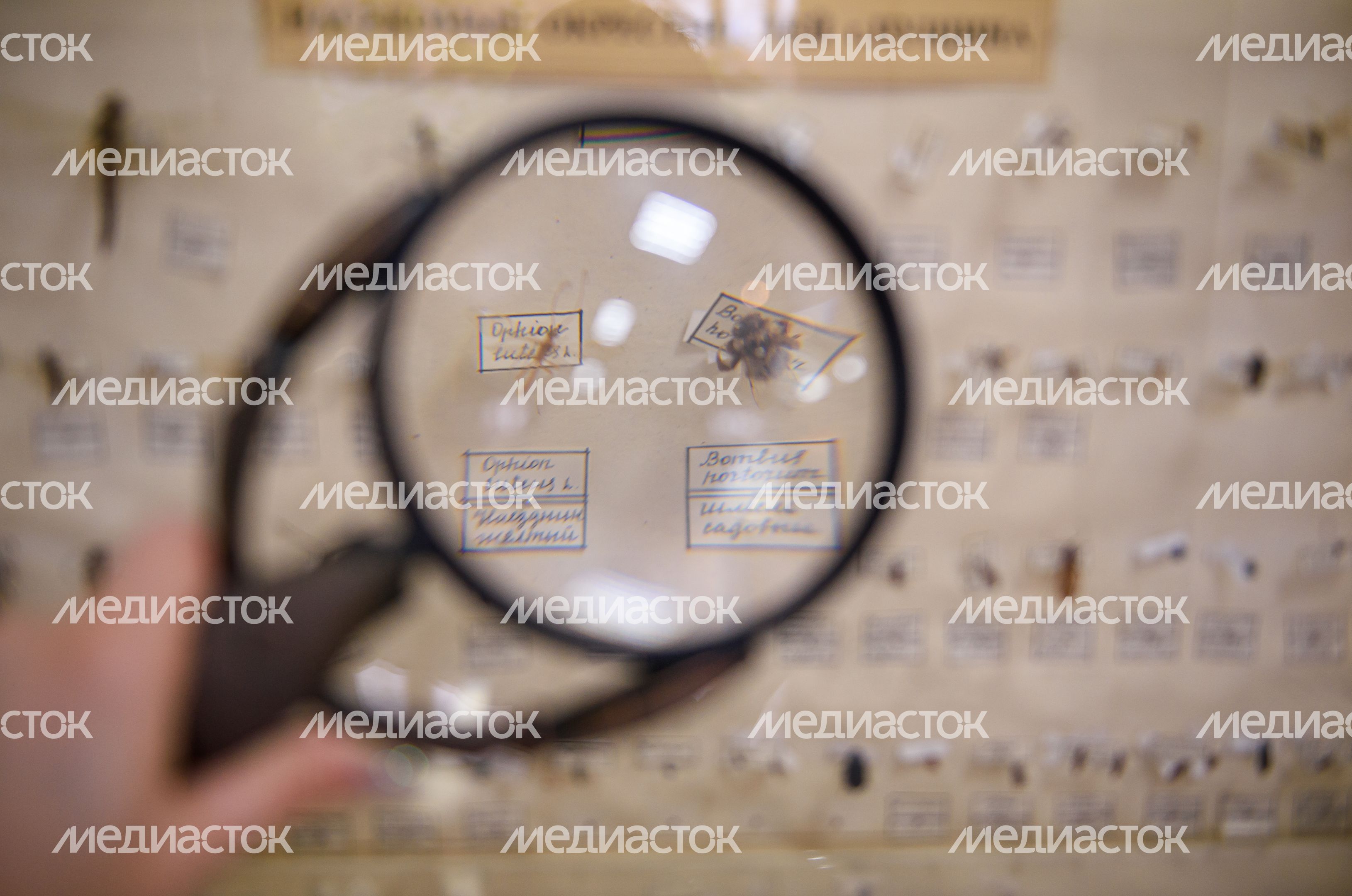 Пущинский музей экологии и краеведения