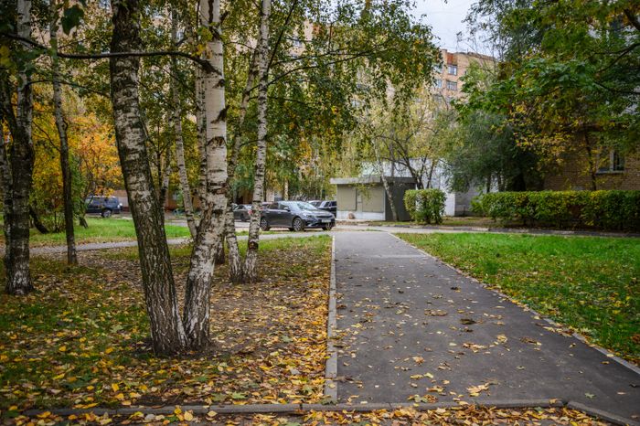 Благоустроенные народные тропы в Балашихе на Саввинском шоссе