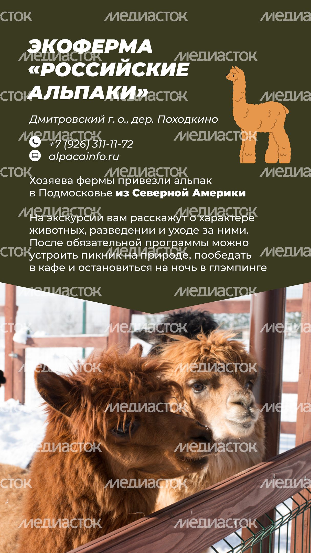 Фермы с животными-05.jpg