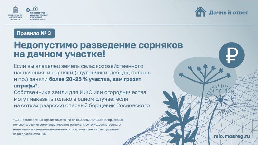 Рубрика дачный ответ