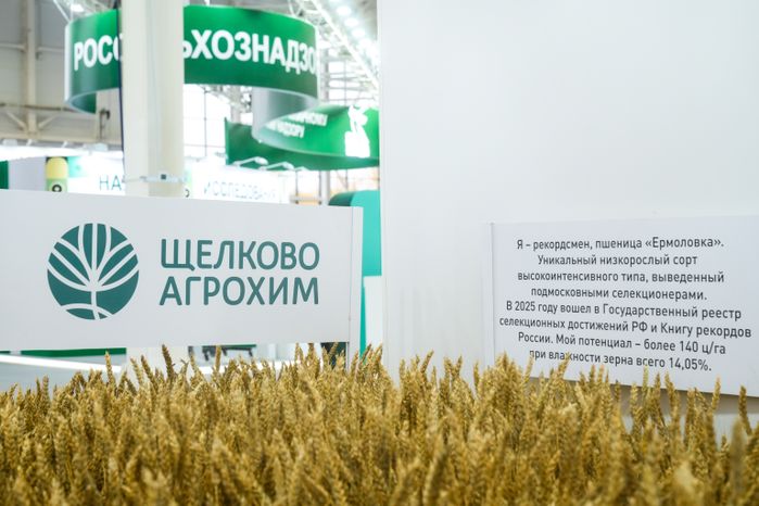 Стенд Подмосковья на выставке "Золотая осень - 2025"