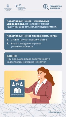 Что такое кадастровый номер участка вертикаль 02