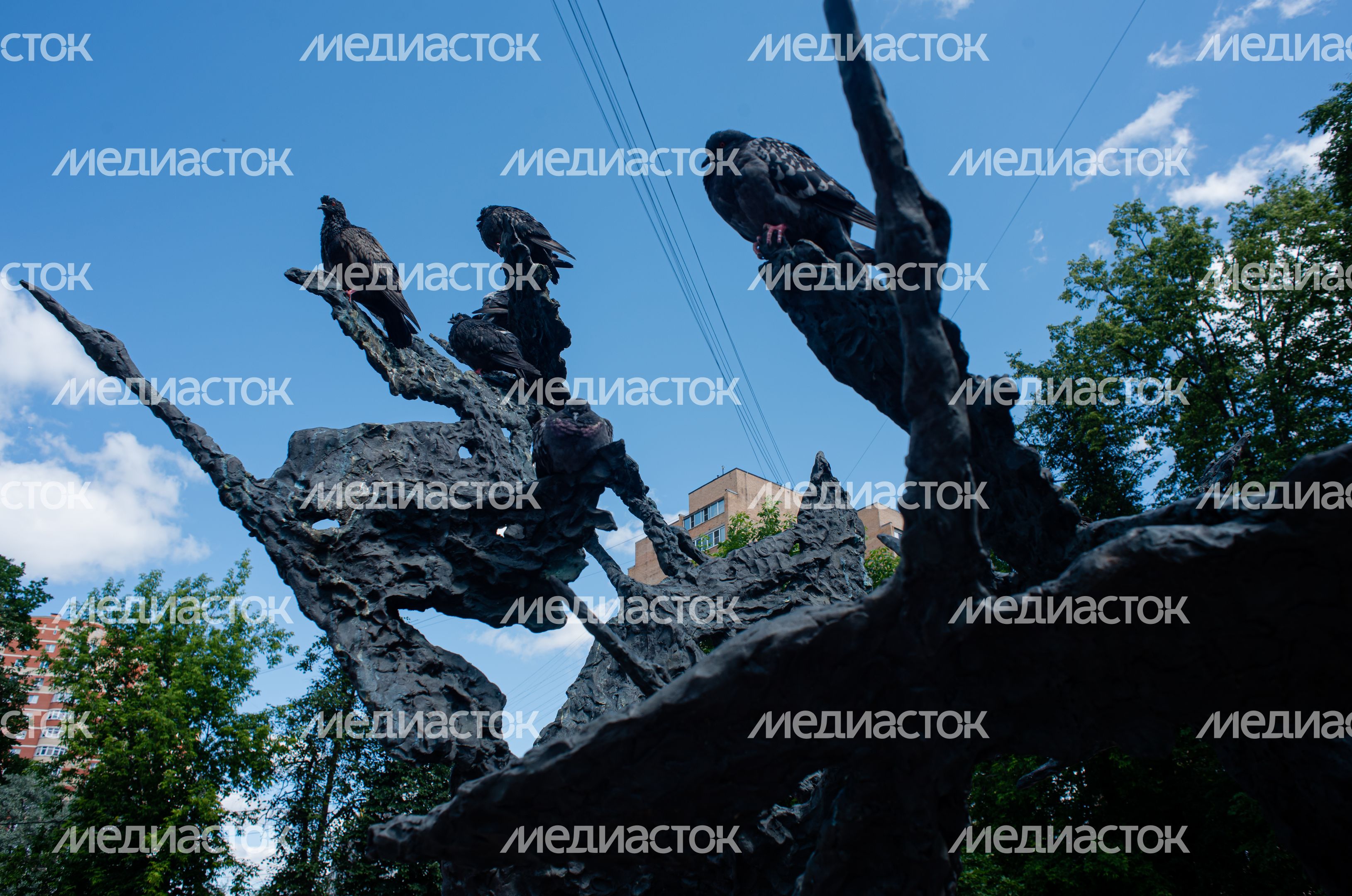Летние виды города Ивантеевка