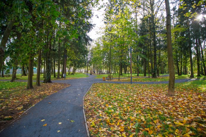Краснознаменск. Парк «Беличий»