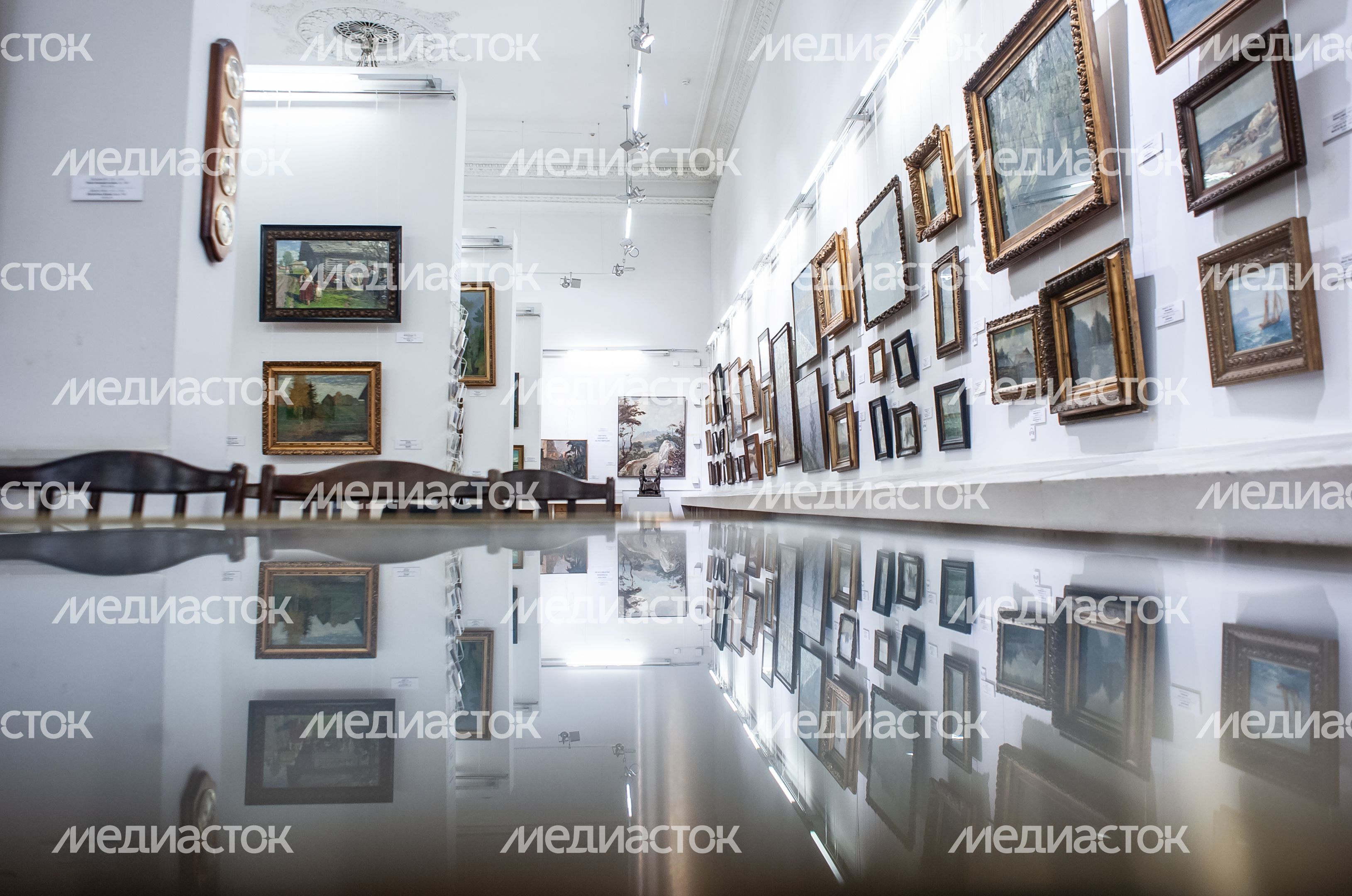 Химкинская картинная галерея имени С.Н.Горшина