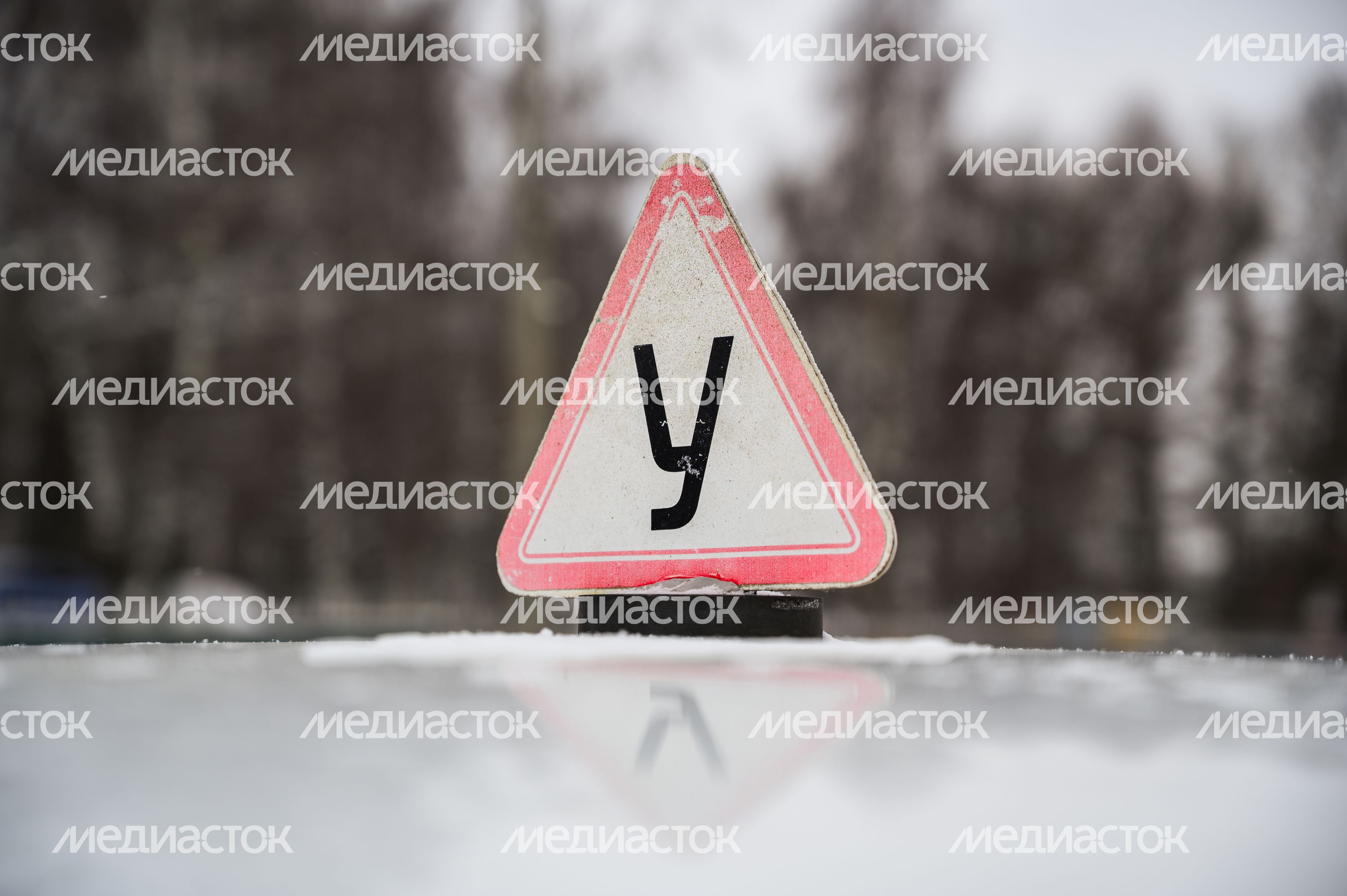 Чемпионат по профмастерству «Профессионалы» среди студентов в Бронницах Чемпионат по профмастерству «Профессионалы» среди студентов в Бронницах