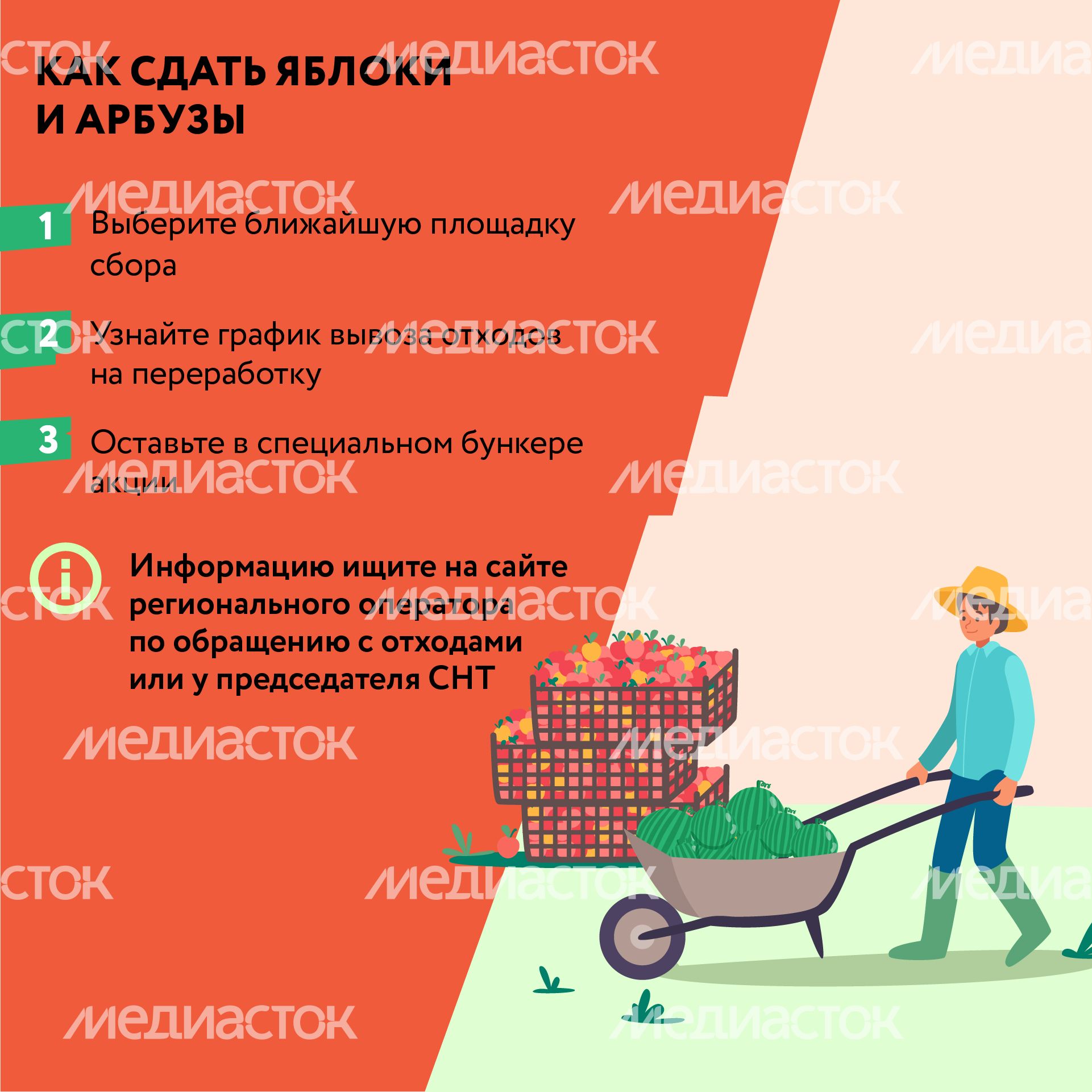Квадрат_арбузы_03-100.jpg