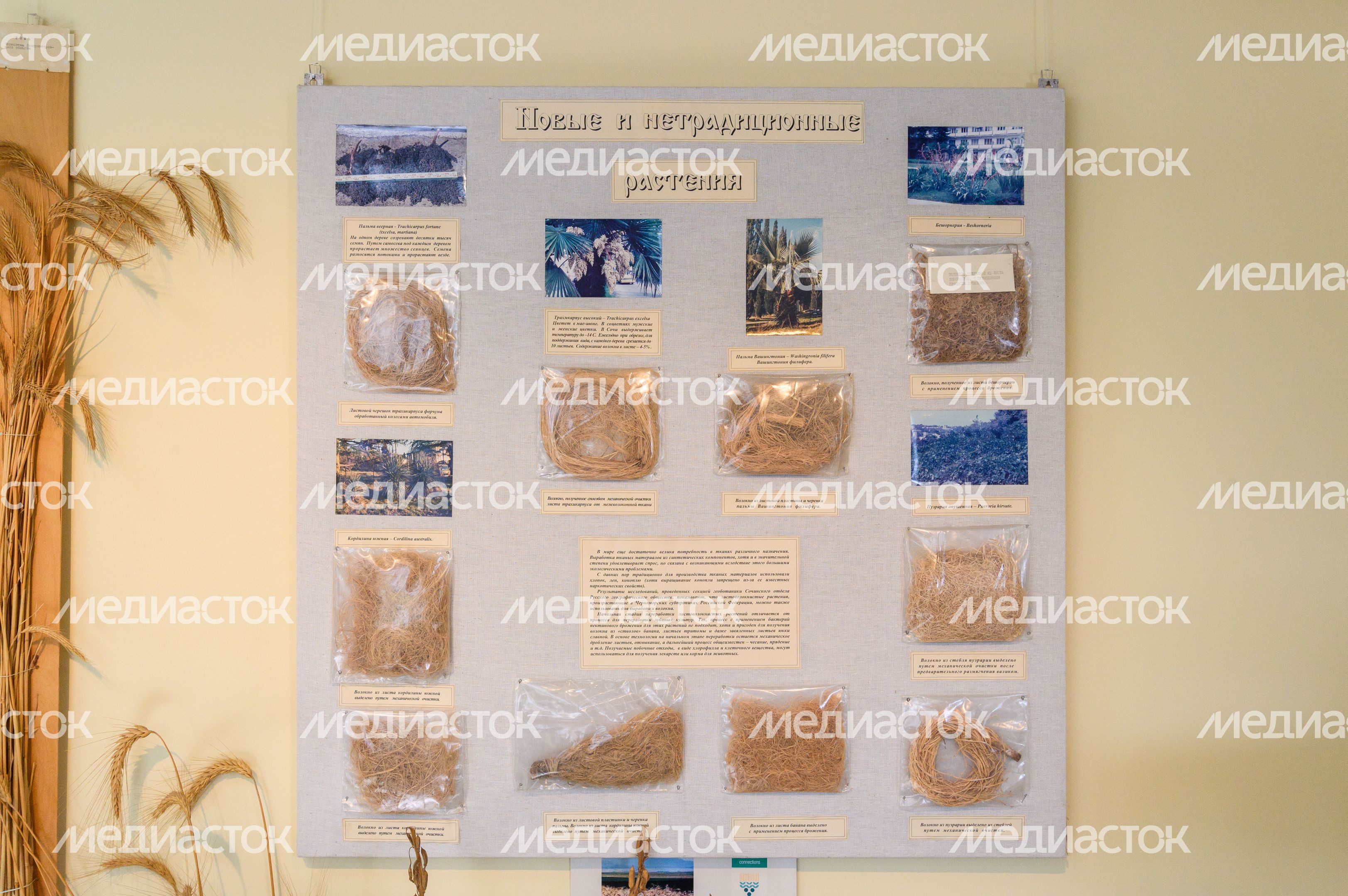 Пущинский музей экологии и краеведения