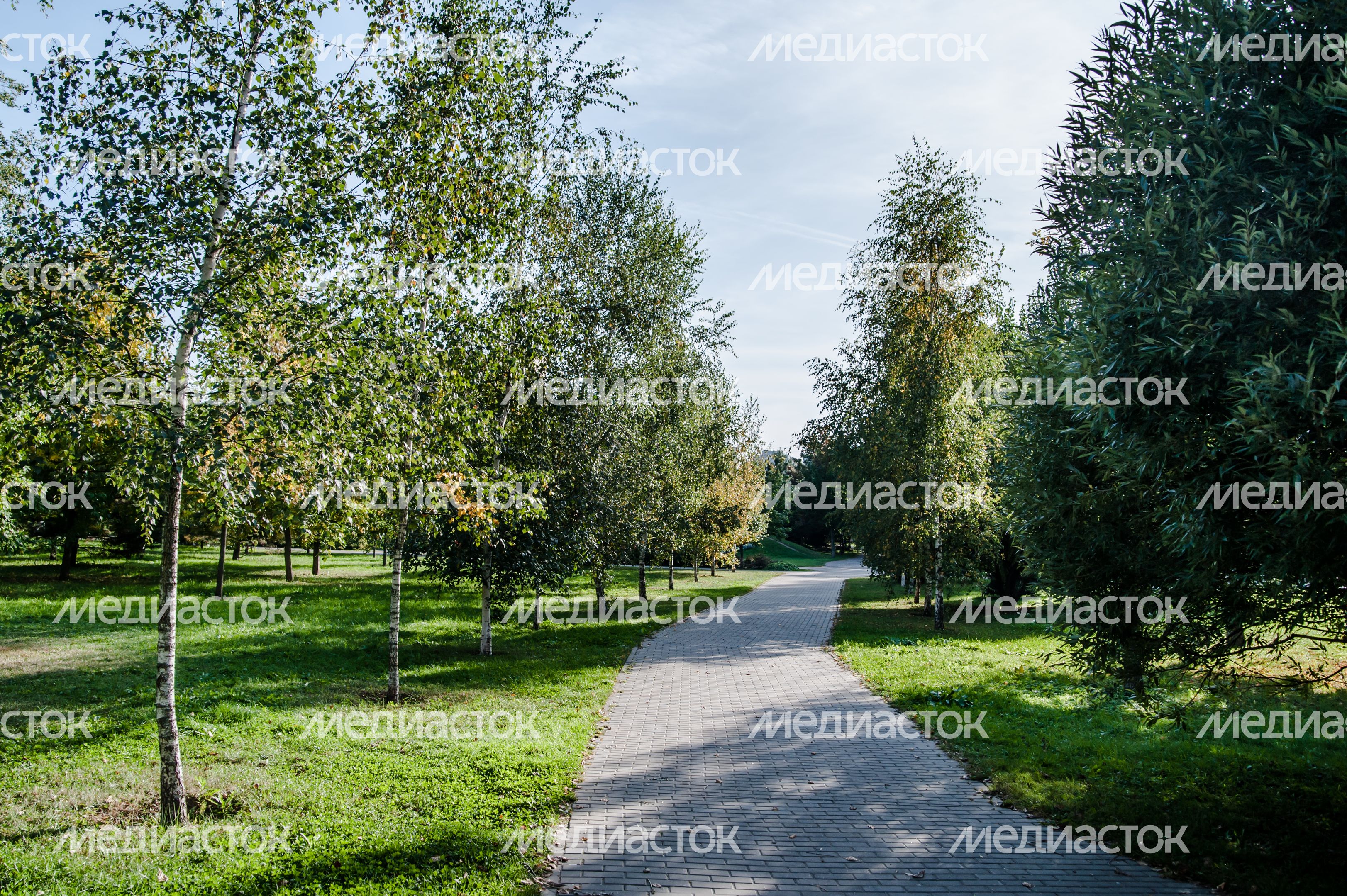 Виды города Мытищи