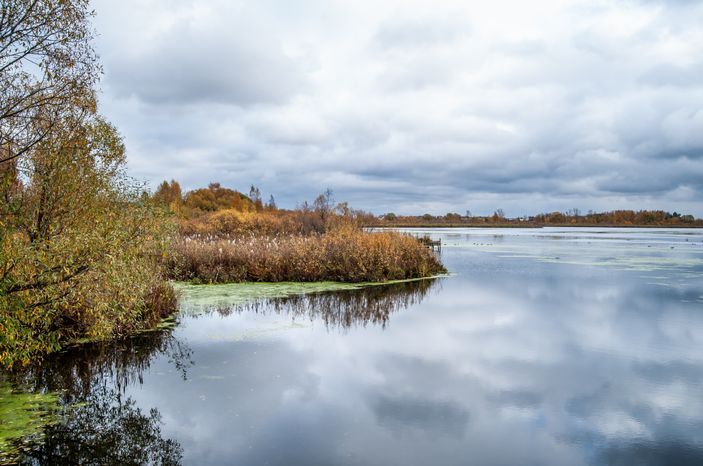 Виды города Лобня