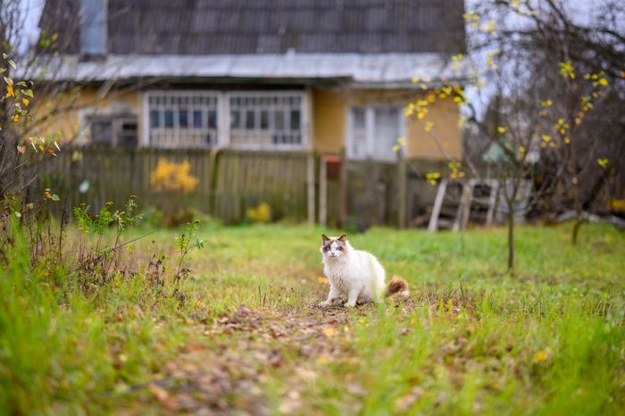 Частный дом в микрорайоне Белые Столбы города Домодедово осенью