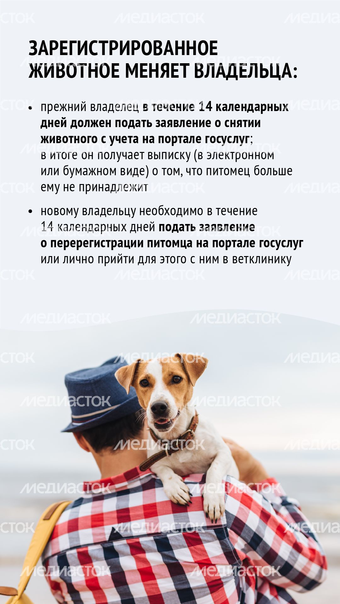 Зарегистрировать домашнее животное ред 2-вертикаль-09.png