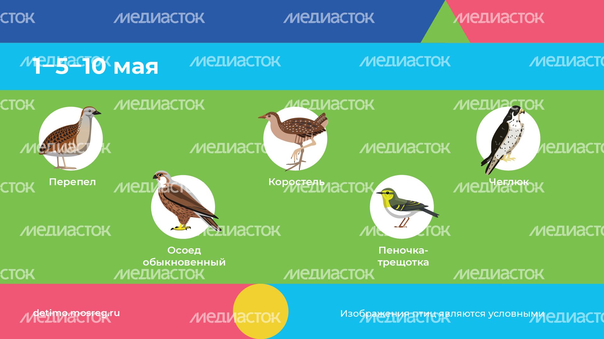 весна летит - горизонталь - 08