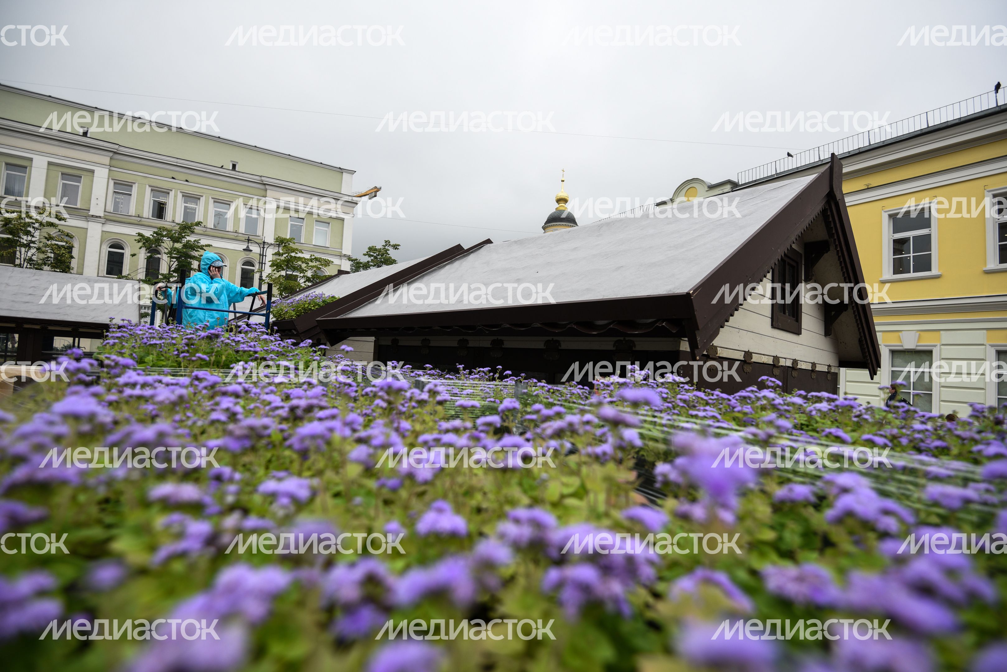 Подготовка площадок нового фестиваля Московское Лето Цветочный Джем