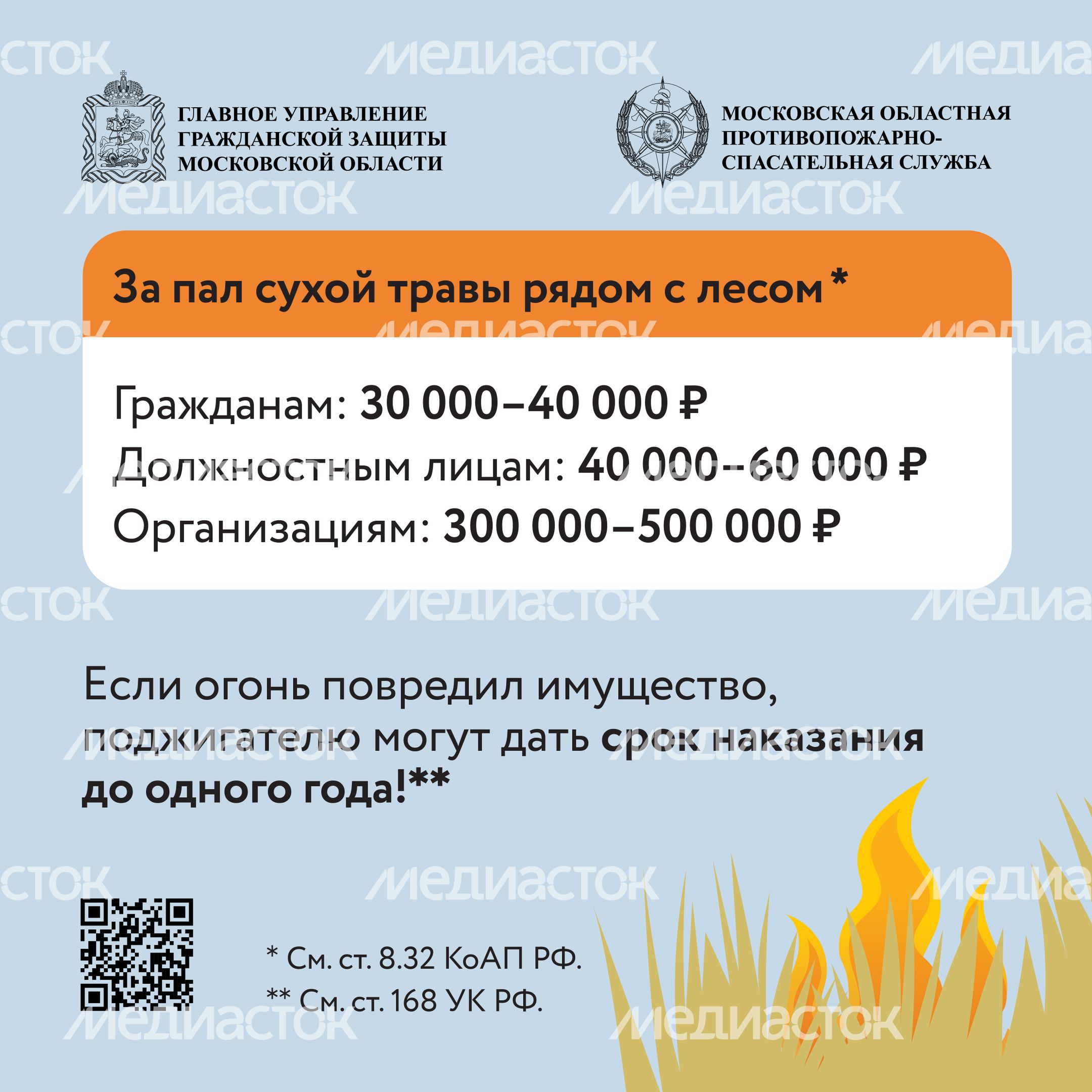 Пал травы-2024_Квадрат-05
