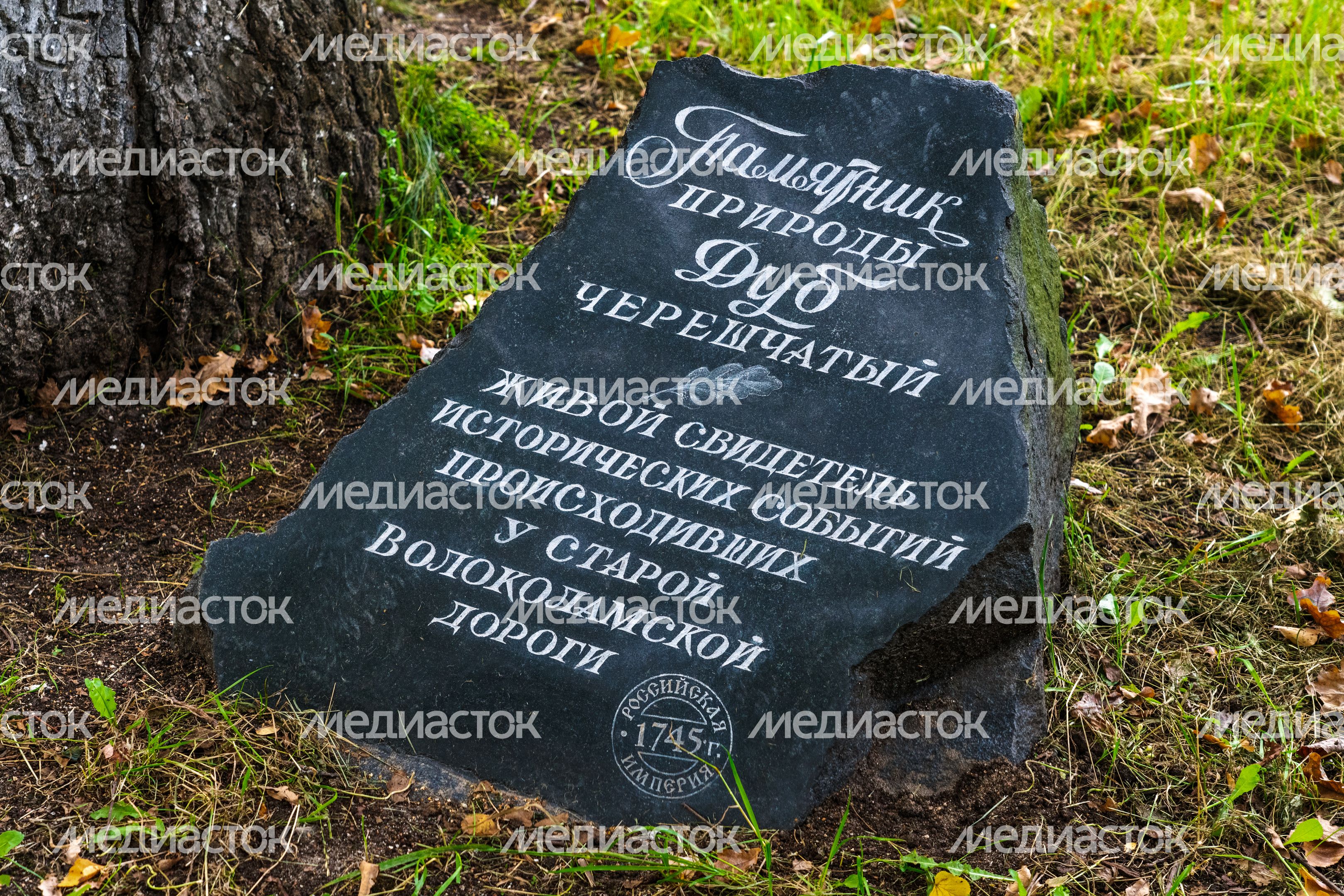 Аллея Славы в Красногорске Аллея Славы в Красногорске