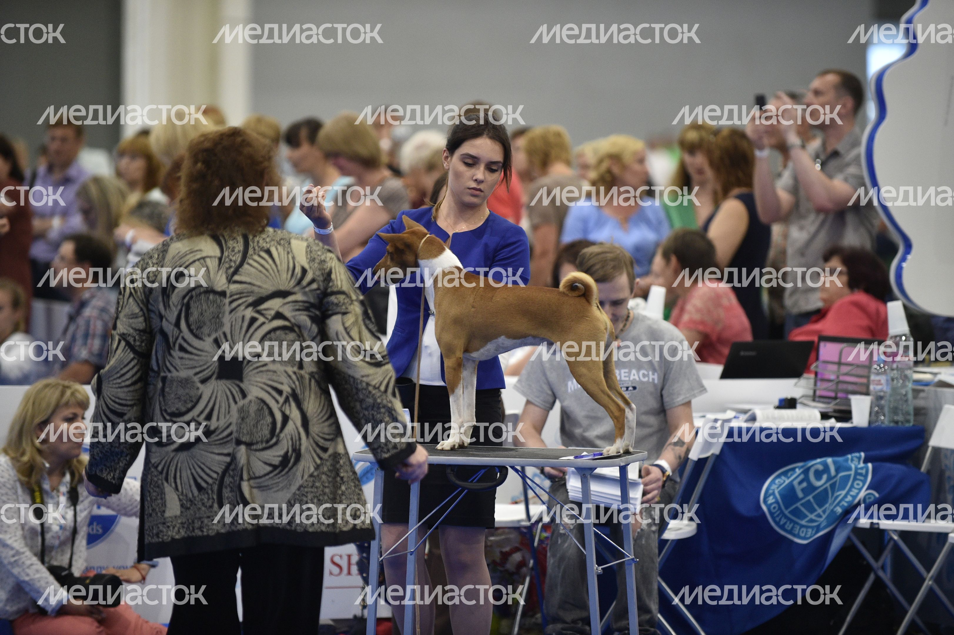 Всемирная выставка собак World Dog Show 2016 в МВЦ «Крокус Экспо»
