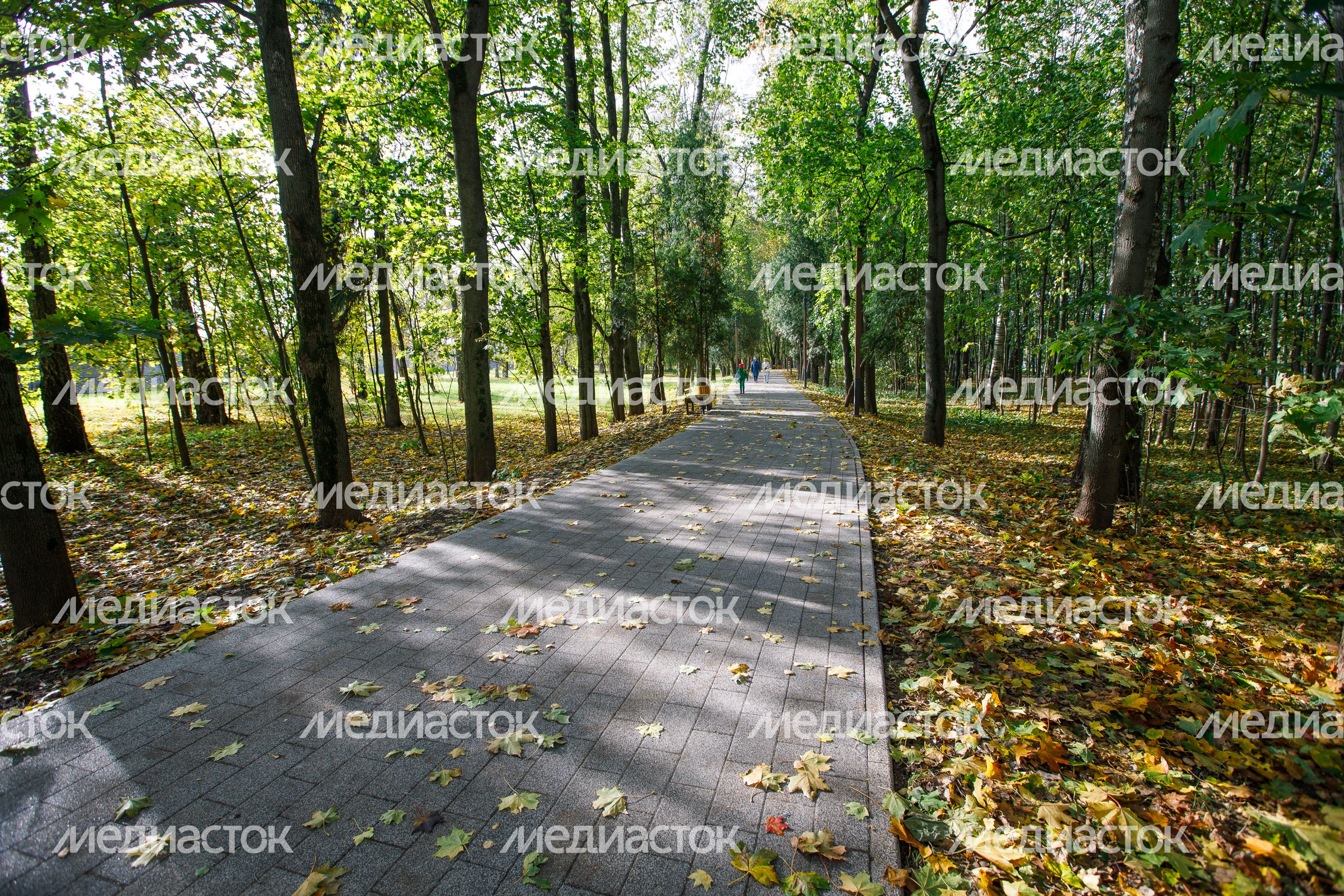 Краснознаменск. Парк «Беличий» Краснознаменск. Парк «Беличий»