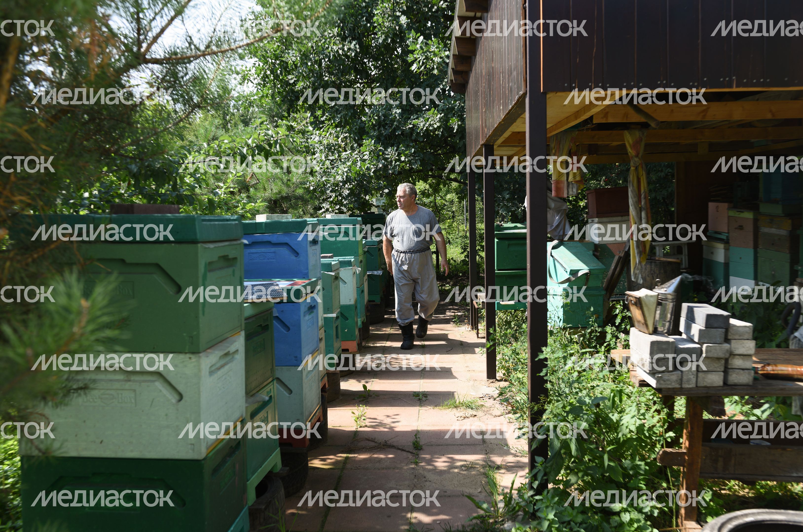 Пчеловод из Королева, 2 часть