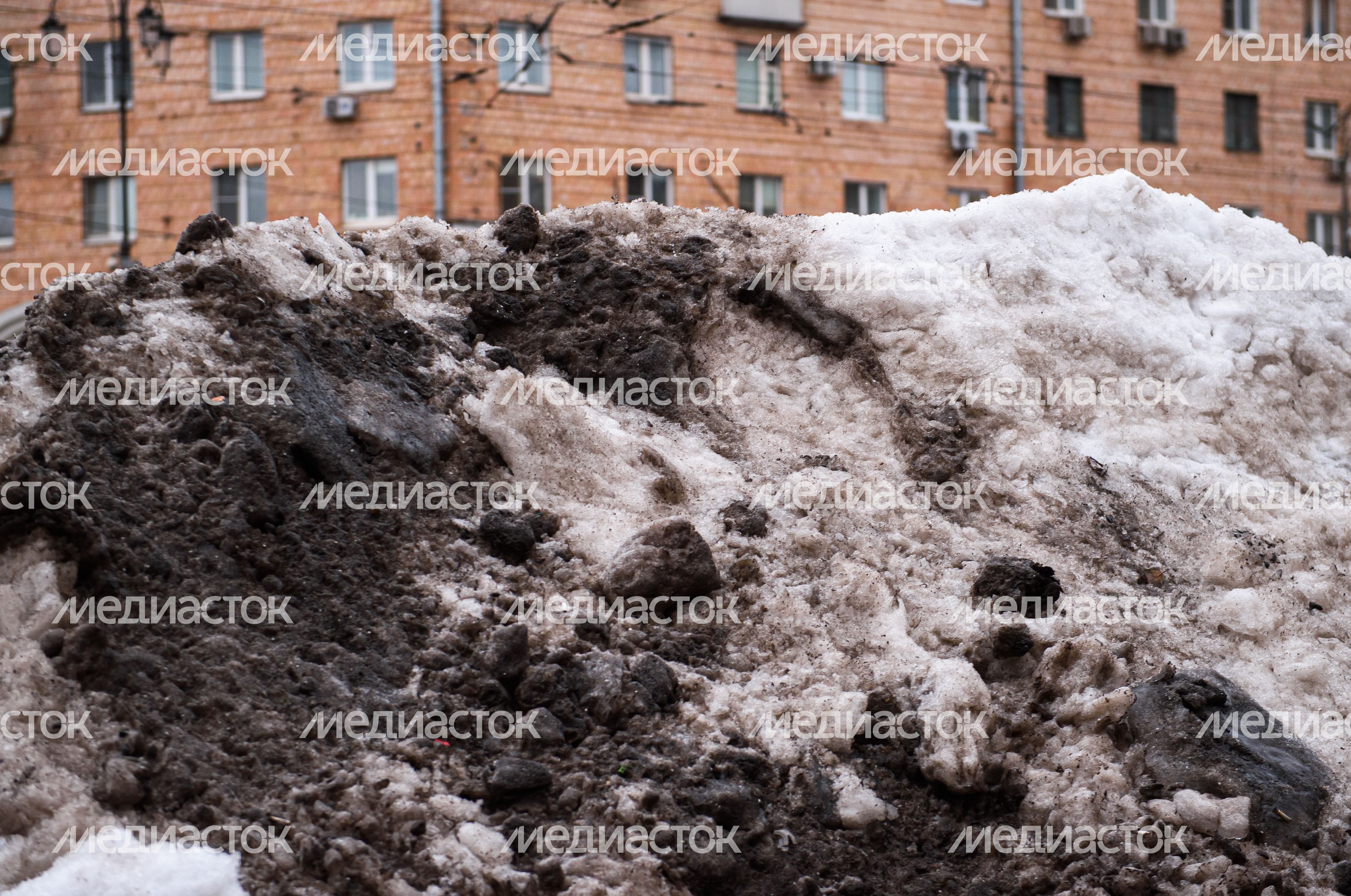 Декабрьская слякоть в Москве Декабрьская слякоть в Москве