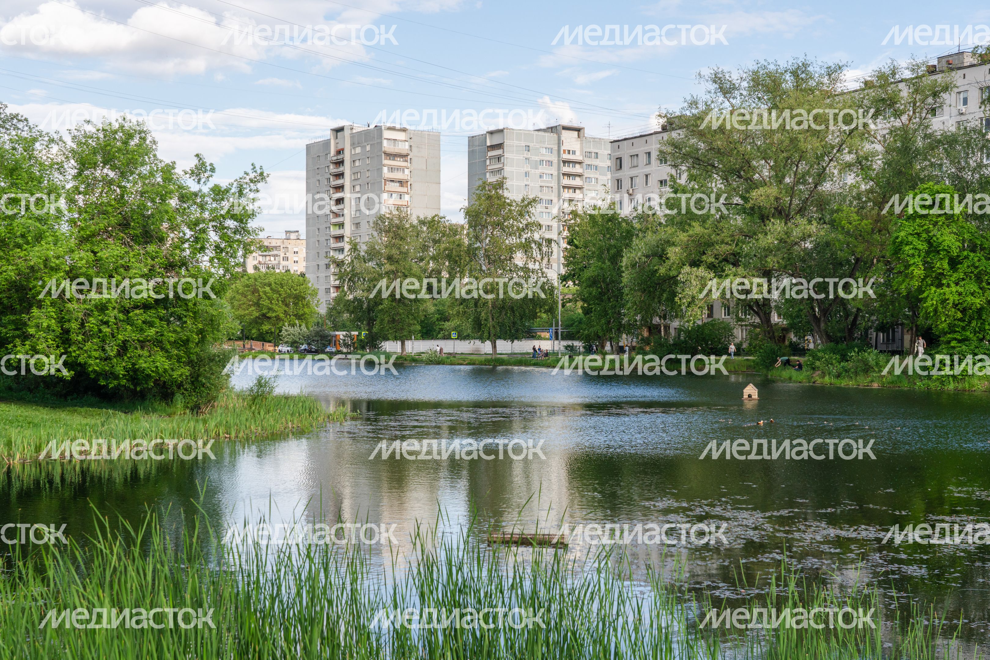 Благоустройство Комсомольского пруда в Одинцово