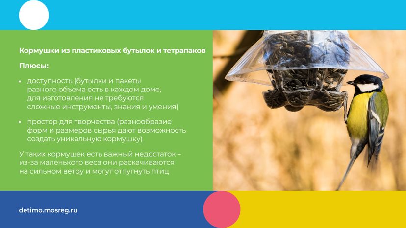 синичкин_день_горизонталь_07.jpg