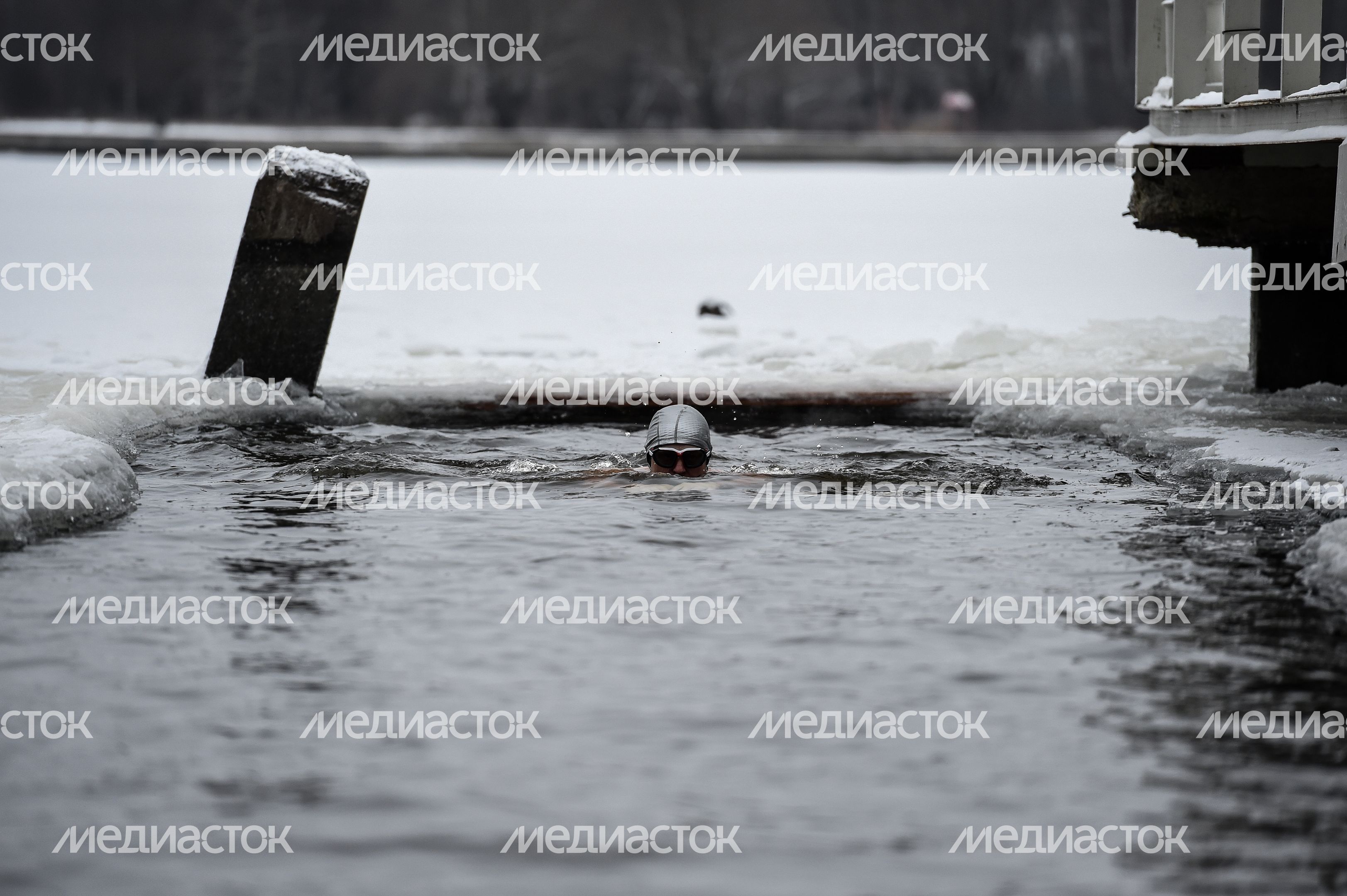 Купание моржей в Долгопрудном
