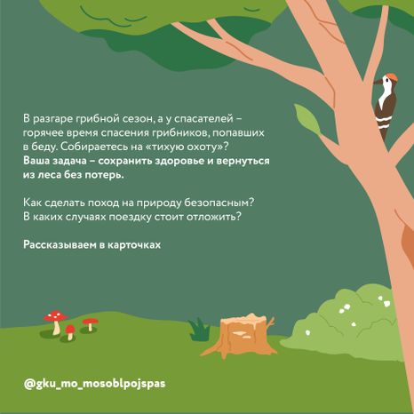 Квадрат грибы 02.jpg