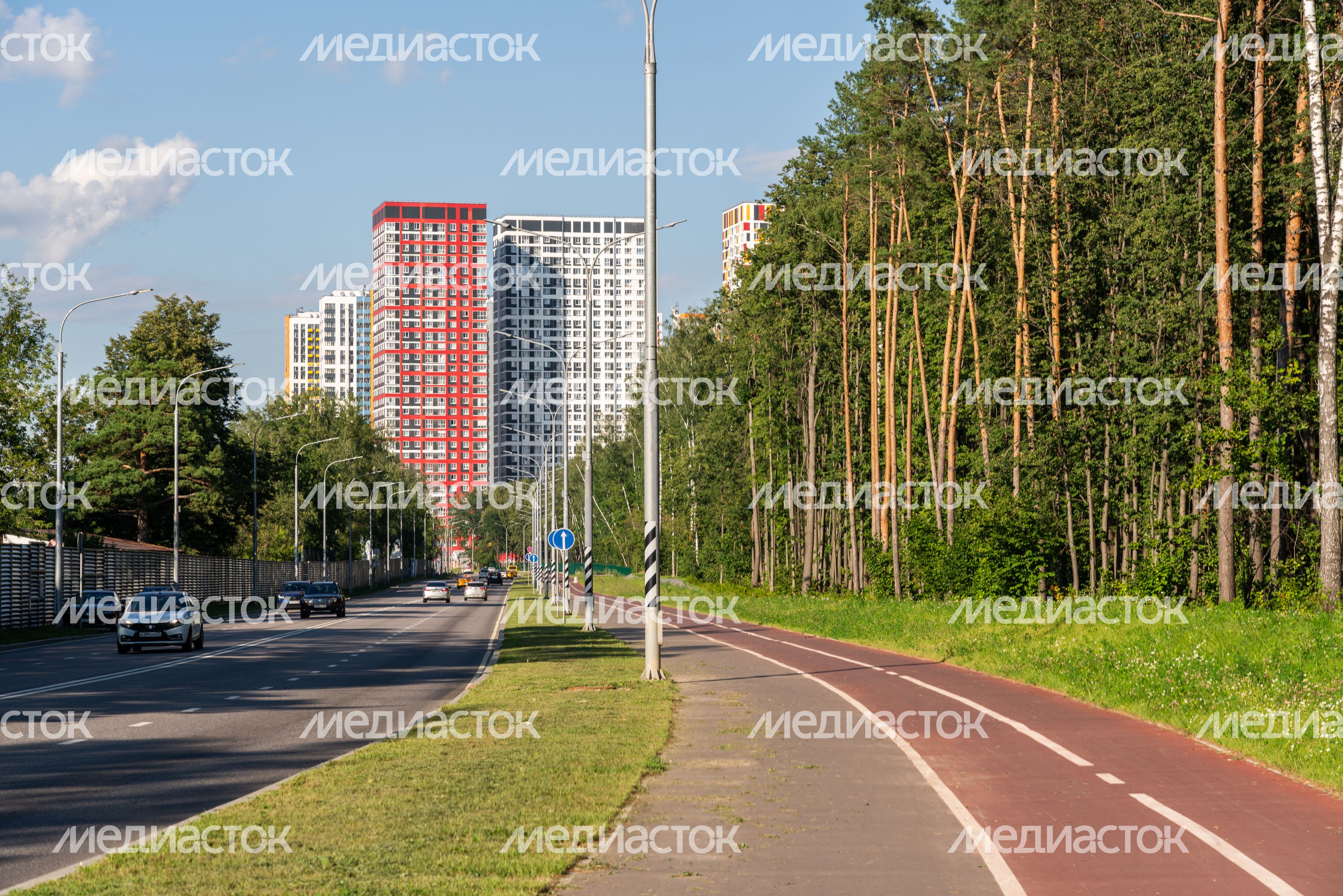 Липовая роща в Красногорске Липовая роща в Красногорске