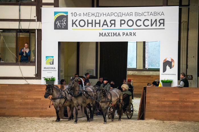 Русская тройка на костюмированном шоу на лошадях «Конная палитра» в MAXIMA PARK