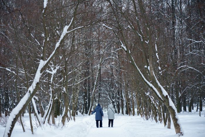 Люберцы. Наташинский парк. Зима