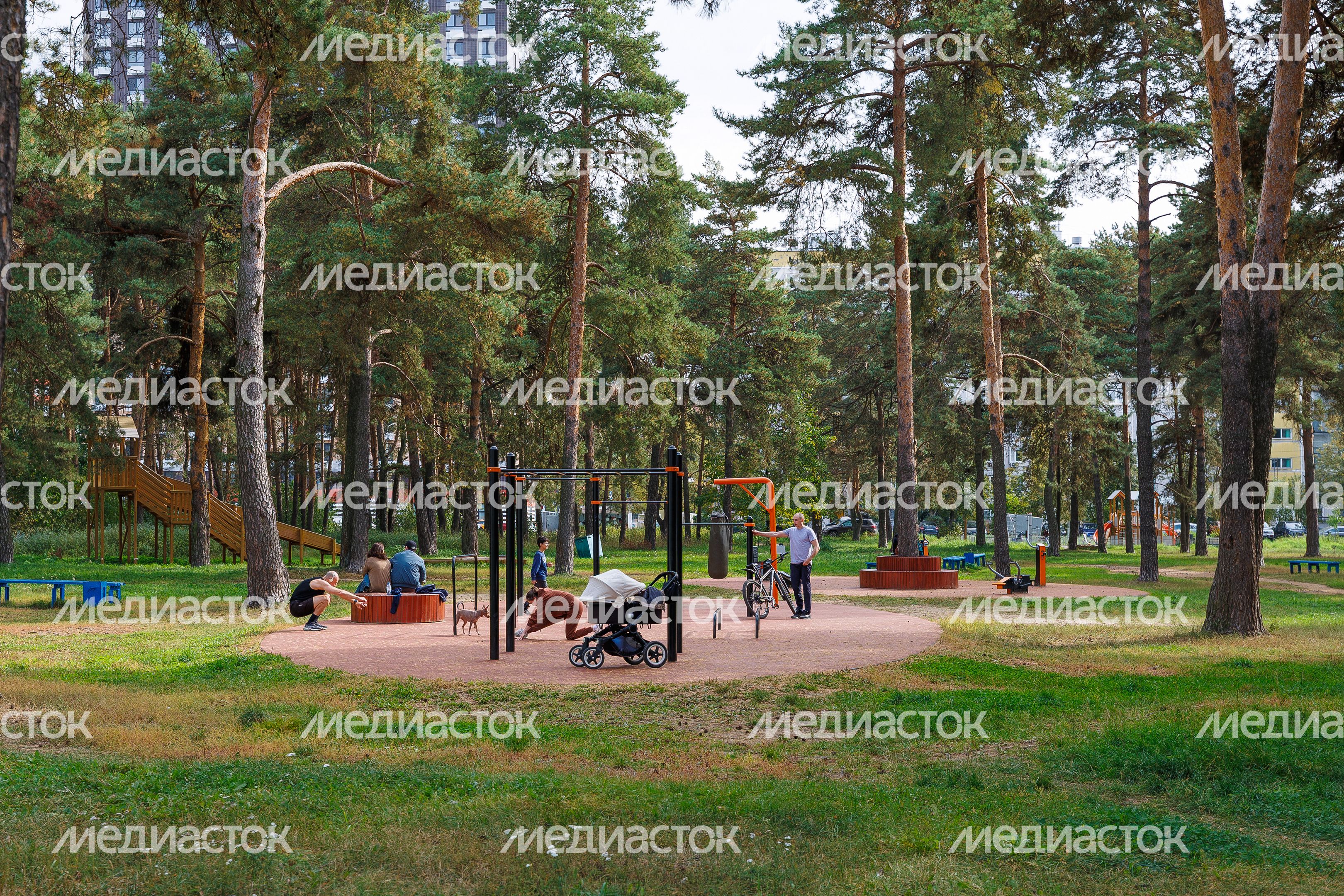 Детская площадка в Кузьминском лесопарке в Котельниках осенью