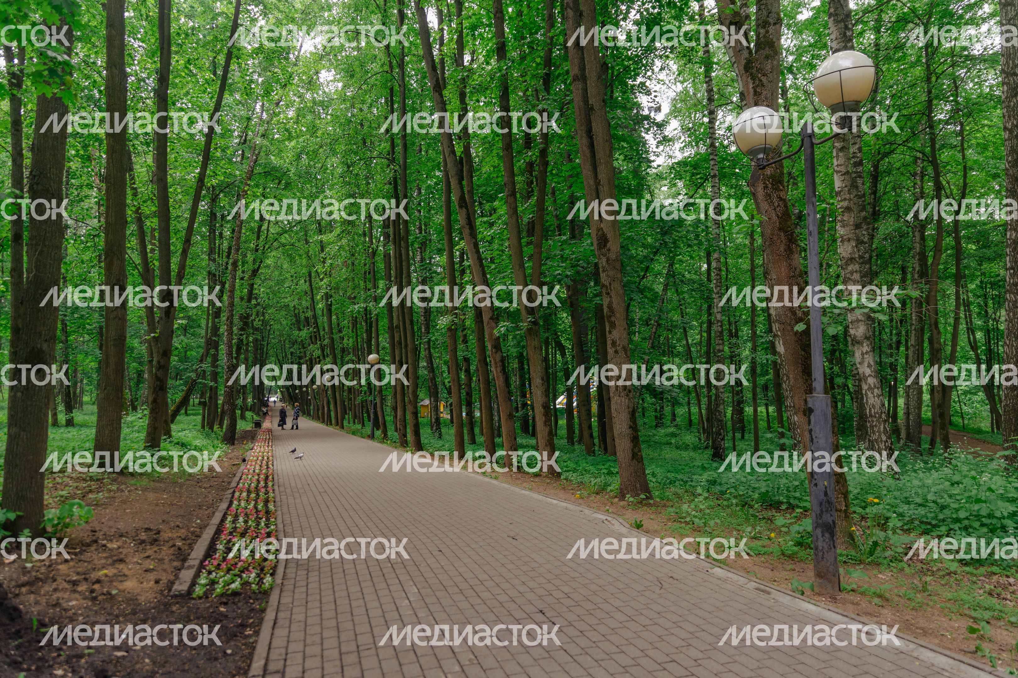 Городской парк Городской парк