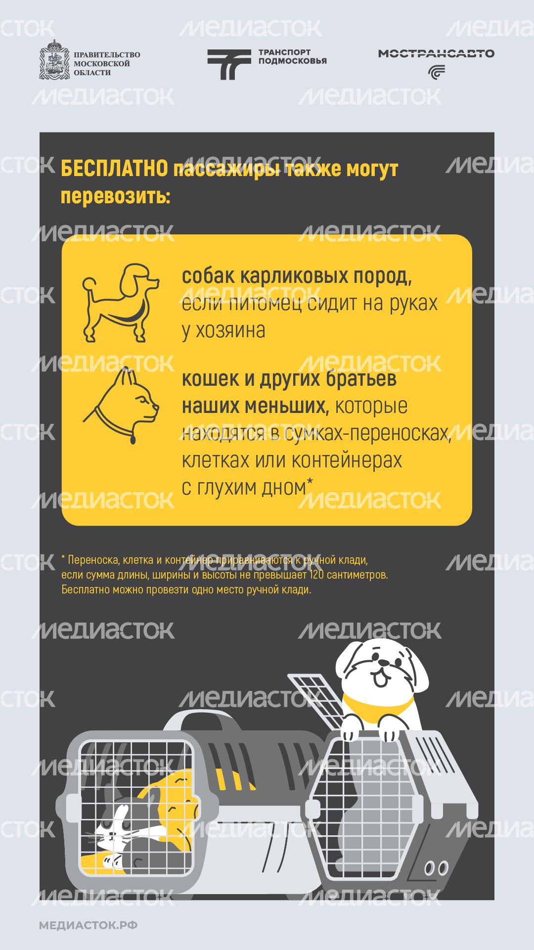 Правила перевозки животных вертикаль 04